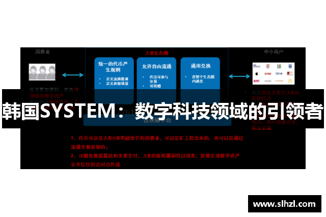韩国SYSTEM：数字科技领域的引领者